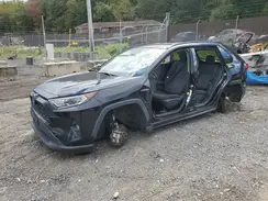 4T3RWRFV6MU012751 2021 TOYOTA RAV 4