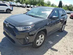 4T3RWRFV6MU024124 2021 TOYOTA RAV 4