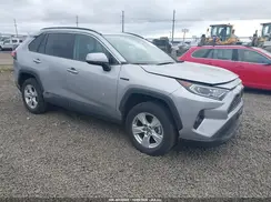 4T3RWRFV6MU026388 2021 TOYOTA RAV 4