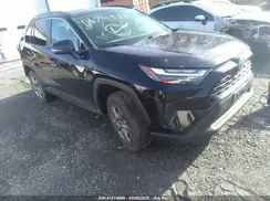 4T3RWRFV6PU090953 2023 TOYOTA RAV 4