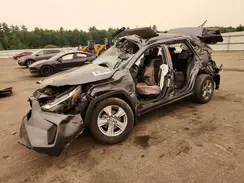 4T3RWRFV6PU101711 2023 TOYOTA RAV 4