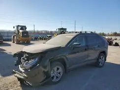 4T3RWRFV6RU110282 2024 TOYOTA RAV 4