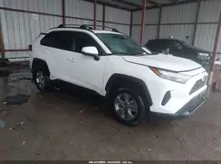 4T3RWRFV6RU117636 2024 TOYOTA RAV 4