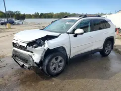 4T3RWRFV6RU120178 2024 TOYOTA RAV 4