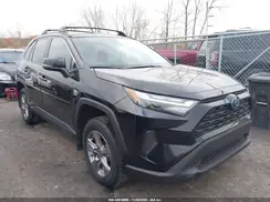 4T3RWRFV6RU123064 2024 TOYOTA RAV 4