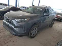 4T3RWRFV6RU124506 2024 TOYOTA RAV 4