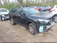 4T3RWRFV6RU124683 2024 TOYOTA RAV 4