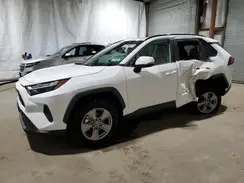 4T3RWRFV6RU141614 2024 TOYOTA RAV 4