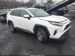 4T3RWRFV6RU145694 2024 TOYOTA RAV 4