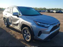 4T3RWRFV6SU167068 2025 TOYOTA RAV 4