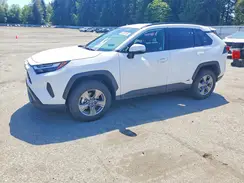 4T3RWRFV6SU181522 2025 TOYOTA RAV 4
