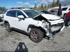 4T3RWRFV6SU182797 2025 TOYOTA RAV 4