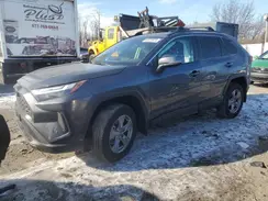 4T3RWRFV7PU094218 2023 TOYOTA RAV 4