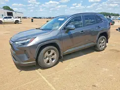 4T3RWRFV7PU102687 2023 TOYOTA RAV 4