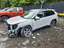 4T3RWRFV7RU132520 2024 TOYOTA RAV 4