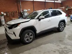 4T3RWRFV7RU162391 2024 TOYOTA RAV 4