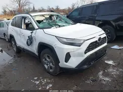 4T3RWRFV7SU202054 2025 TOYOTA RAV 4