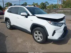 4T3RWRFV8LU003726 2020 TOYOTA RAV 4