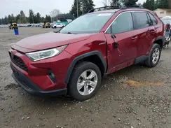 4T3RWRFV8MU041457 2021 TOYOTA RAV 4