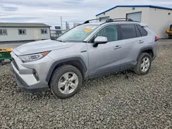 4T3RWRFV8MU042656 2021 TOYOTA RAV 4