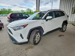 4T3RWRFV8MU046139 2021 TOYOTA RAV 4