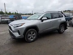 4T3RWRFV8PU082496 2023 TOYOTA RAV 4