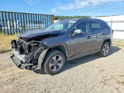 4T3RWRFV8PU083115 2023 TOYOTA RAV 4