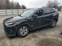 4T3RWRFV8PU086970 2023 TOYOTA RAV 4