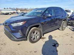 4T3RWRFV8PU101015 2023 TOYOTA RAV 4