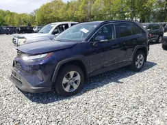 4T3RWRFV8RU116715 2024 TOYOTA RAV 4