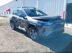 4T3RWRFV8RU117962 2024 TOYOTA RAV 4