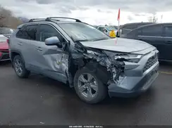 4T3RWRFV8RU119923 2024 TOYOTA RAV 4