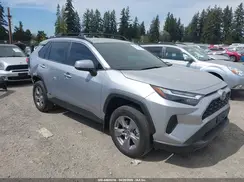 4T3RWRFV8RU119954 2024 TOYOTA RAV 4