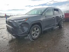 4T3RWRFV8RU122935 2024 TOYOTA RAV 4