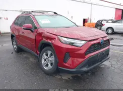4T3RWRFV8RU131635 2024 TOYOTA RAV 4