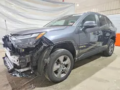 4T3RWRFV8RU134342 2024 TOYOTA RAV 4
