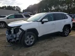 4T3RWRFV8RU137225 2024 TOYOTA RAV 4