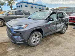 4T3RWRFV8RU151190 2024 TOYOTA RAV 4