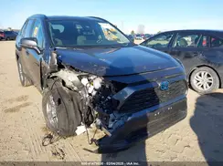 4T3RWRFV8RU153795 2024 TOYOTA RAV 4