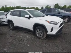 4T3RWRFV8RU155966 2024 TOYOTA RAV 4
