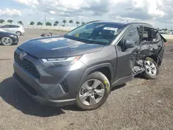 4T3RWRFV8RU162402 2024 TOYOTA RAV 4
