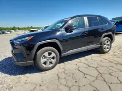 4T3RWRFV8SU172997 2025 TOYOTA RAV 4