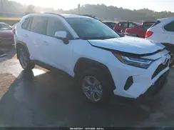 4T3RWRFV8SU181313 2025 TOYOTA RAV 4