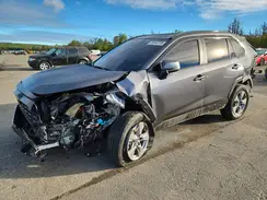 4T3RWRFV8SU208915 2025 TOYOTA RAV 4