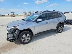 4T3RWRFV8SU210566 2025 TOYOTA RAV 4