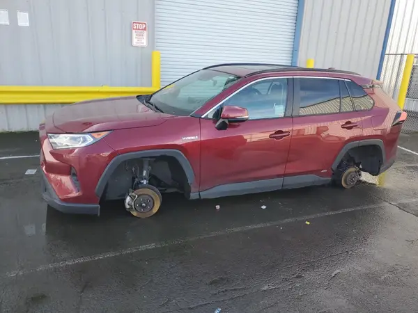 4T3RWRFV9LU004593 2020 TOYOTA RAV 4 - Image 1