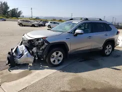 4T3RWRFV9MU016583 2021 TOYOTA RAV 4