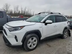 4T3RWRFV9MU043816 2021 TOYOTA RAV 4