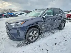 4T3RWRFV9PU107549 2023 TOYOTA RAV 4