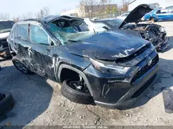 4T3RWRFV9RU125486 2024 TOYOTA RAV 4